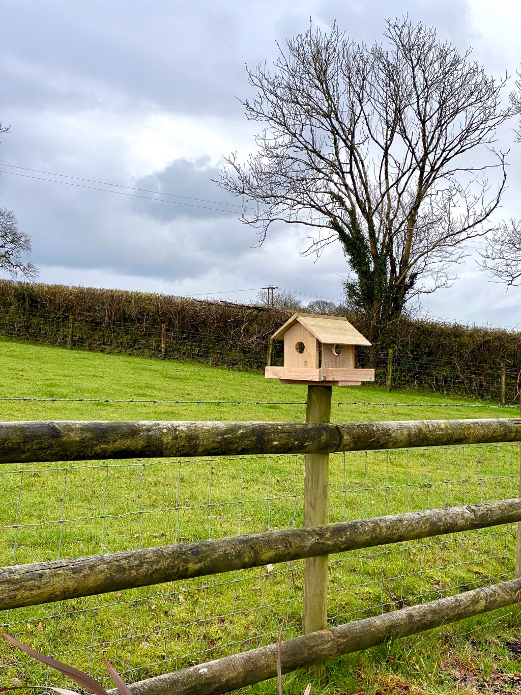DIY Bird Feeder: Crafting a Table for garden&nbsp;Birds